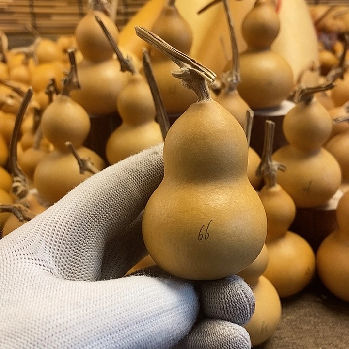 文玩葫芦 完美主义者 慎拍66