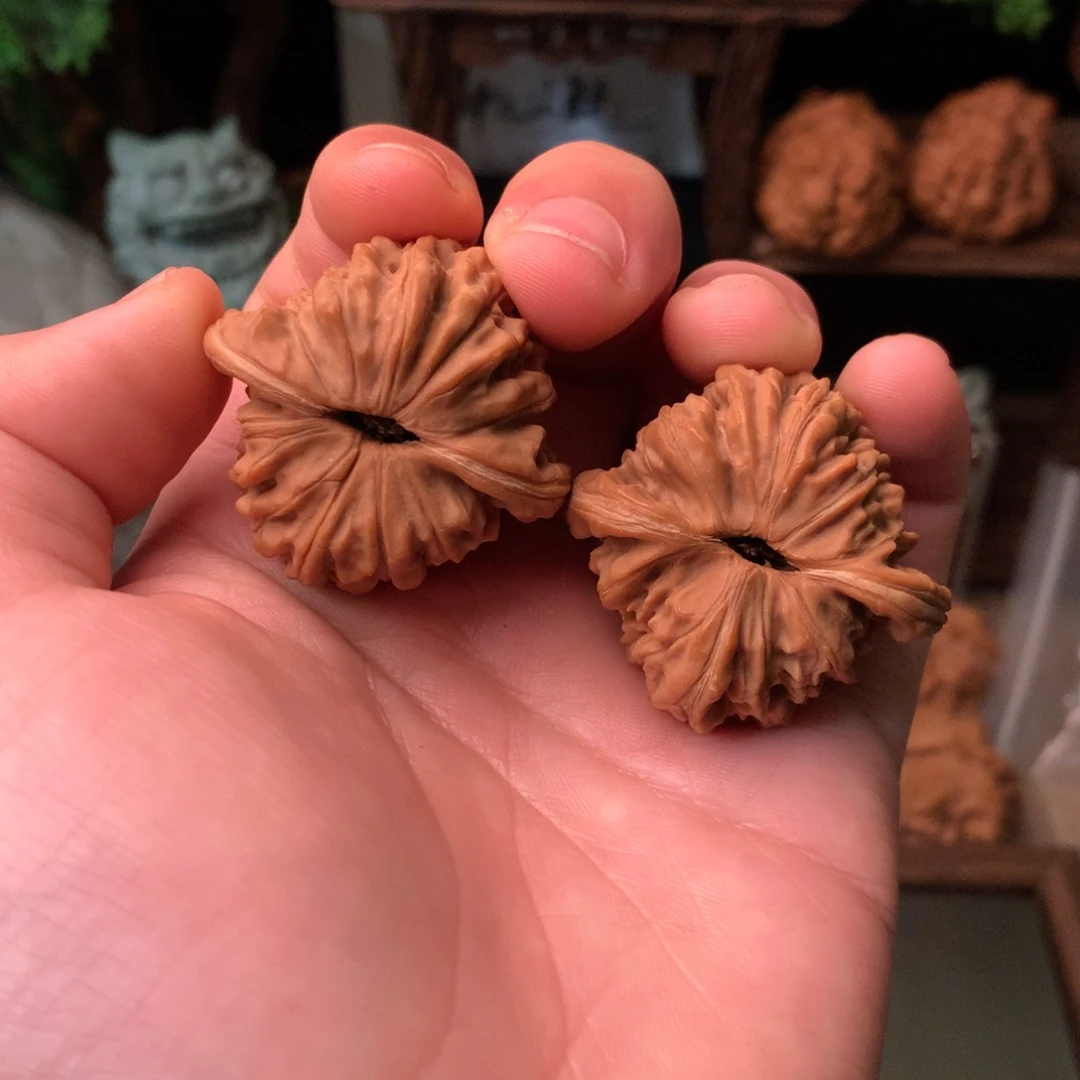 核桃41尺寸四座楼