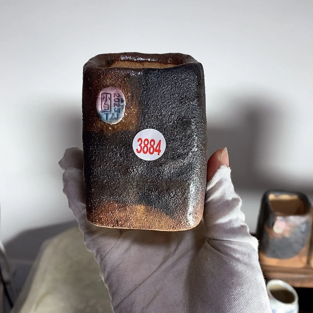 红陶C****大拍5送一个小