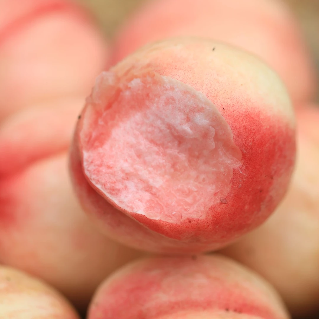 村姑阿香贵州大山种植水蜜桃新鲜现摘水蜜桃
