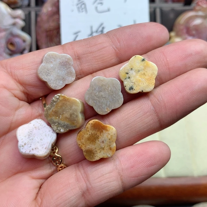 硅化珊瑚（珊瑚玉）颈饰未镶嵌