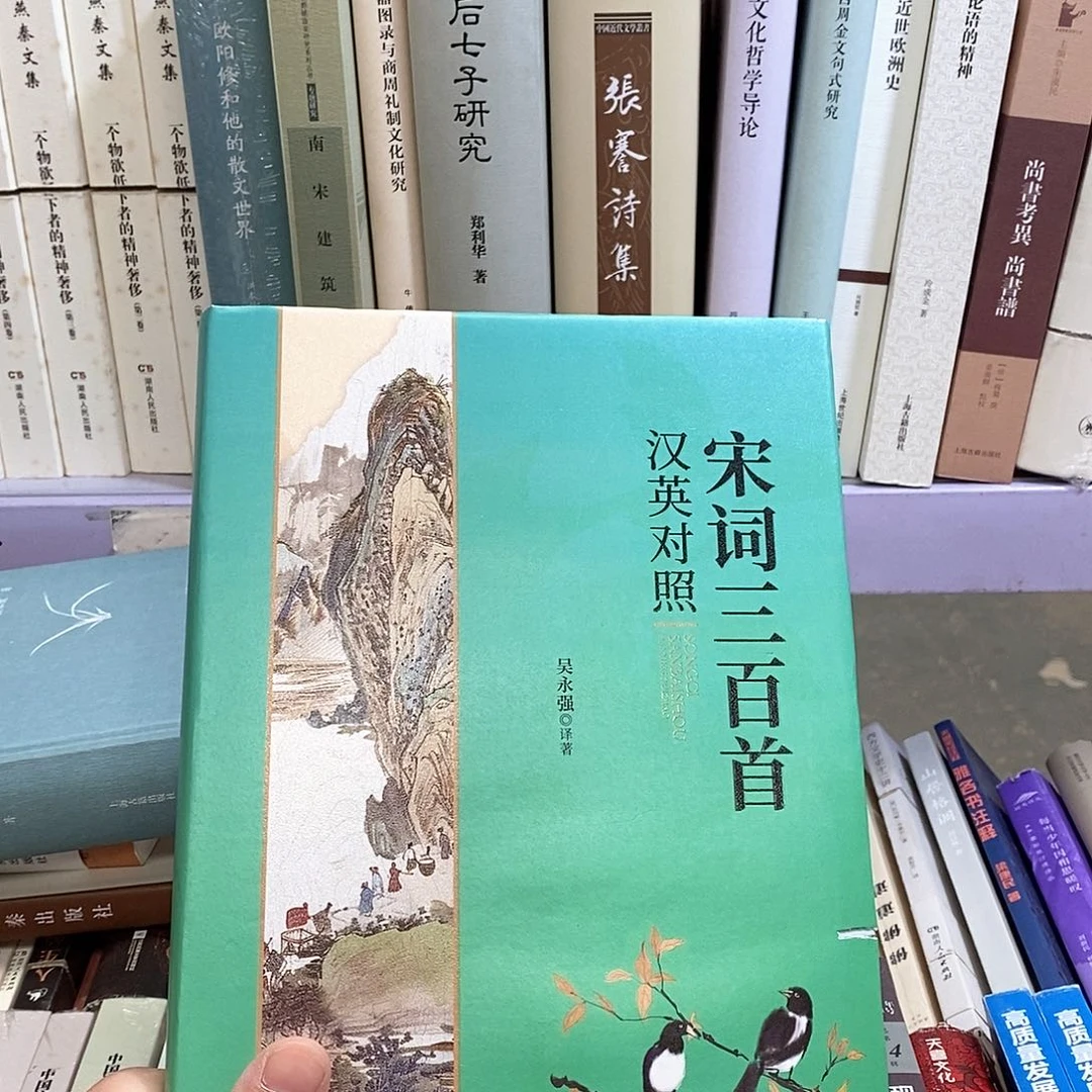 瑕疵锯口  宋词三百首