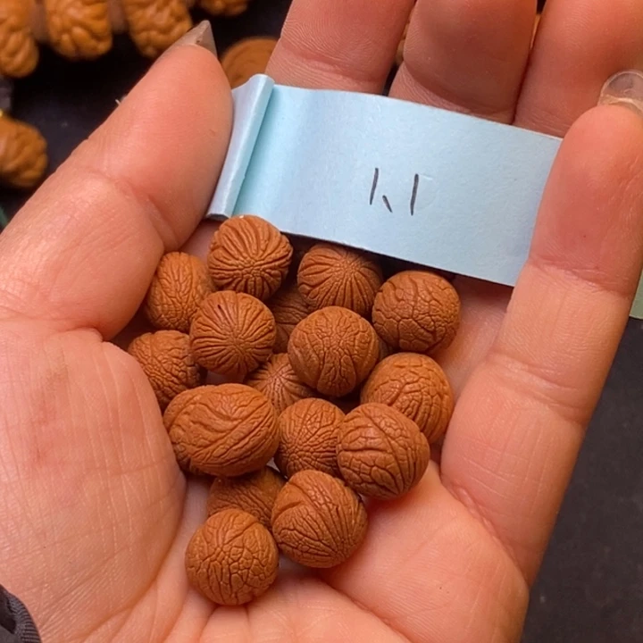 秦岭龙纹桃核21颗