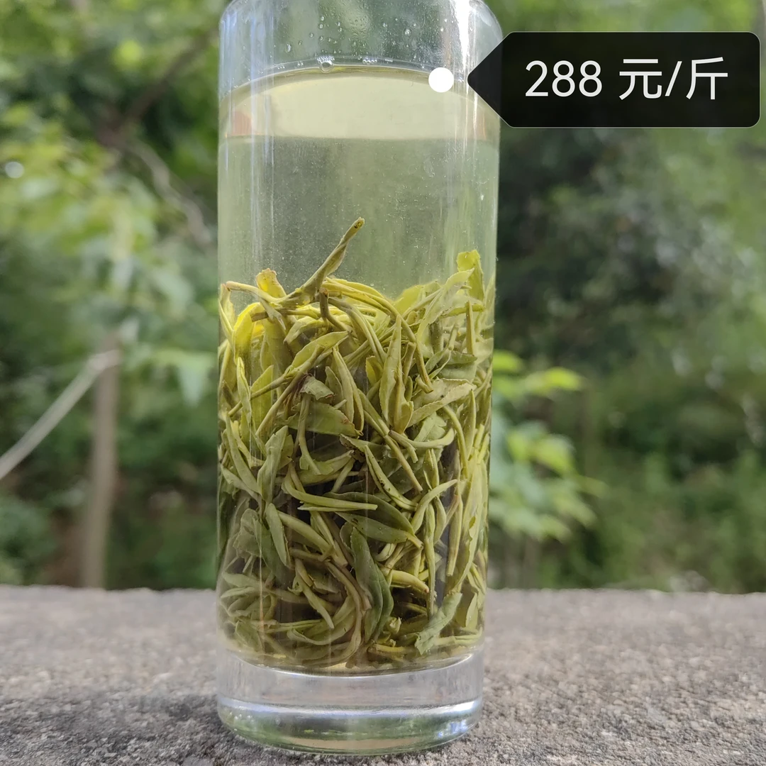 纯手工炒制雨前中期芽叶茶来自小庙老旱茶品种信阳毛尖香浓耐泡