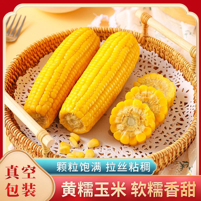 塞安特【铝箔包装】十根十棒东北头茬黄糯玉米甜糯鲜食香甜新鲜本味