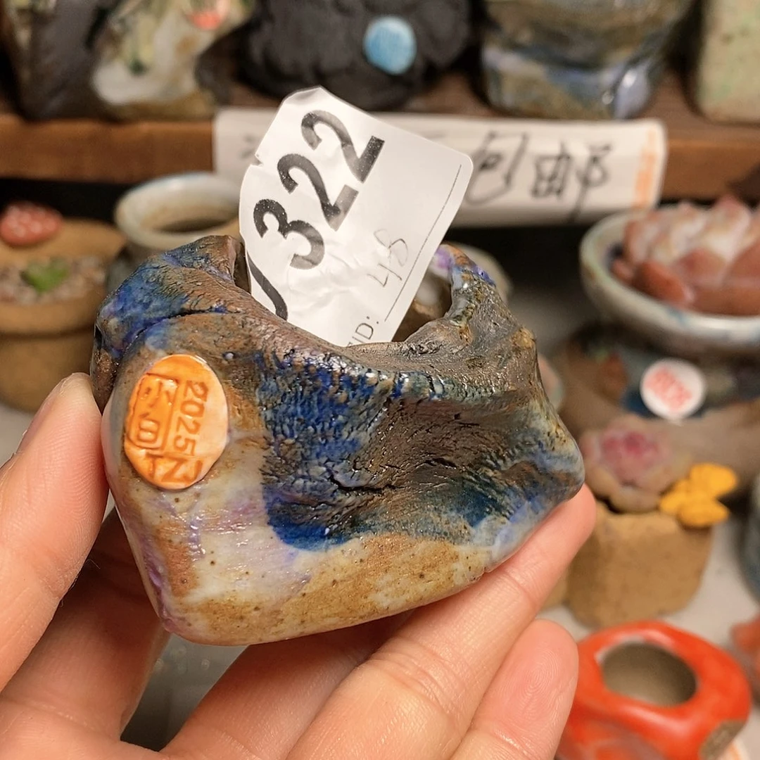 红陶拍5送一个小