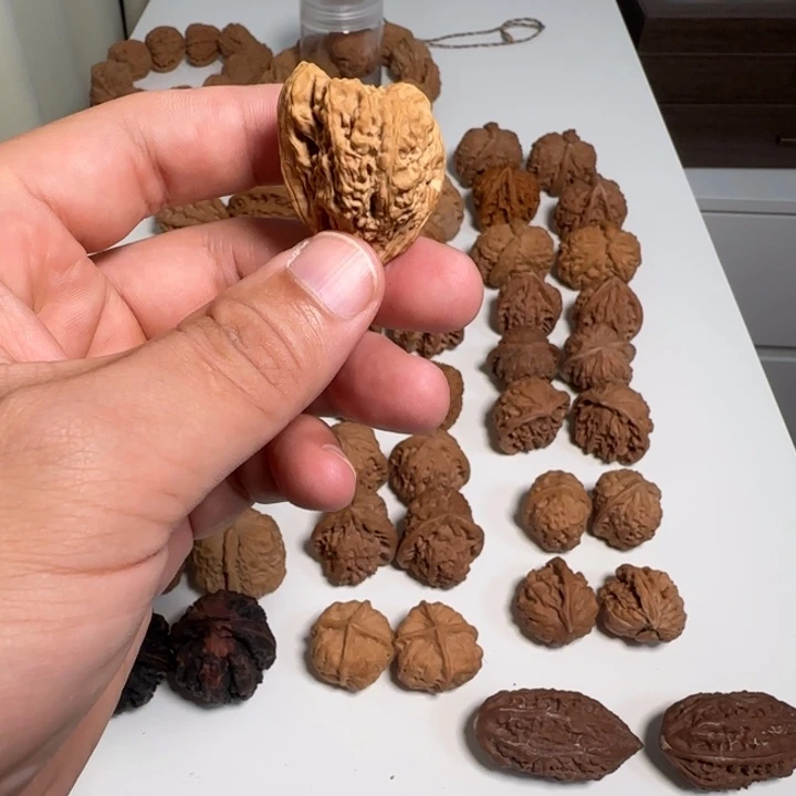 铭***尘核桃核桃核桃核桃