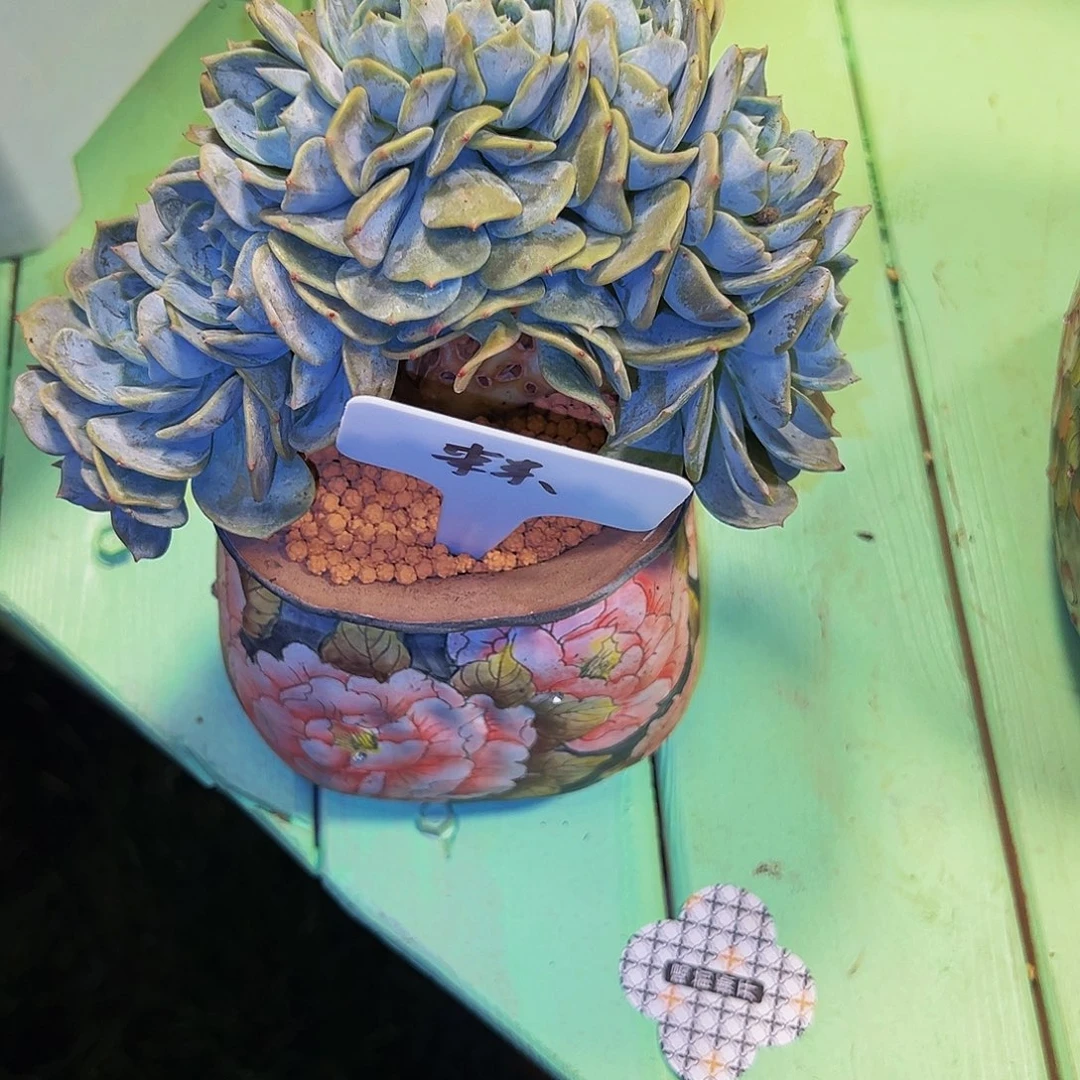 来*劳林缀劳林缀劳林缀