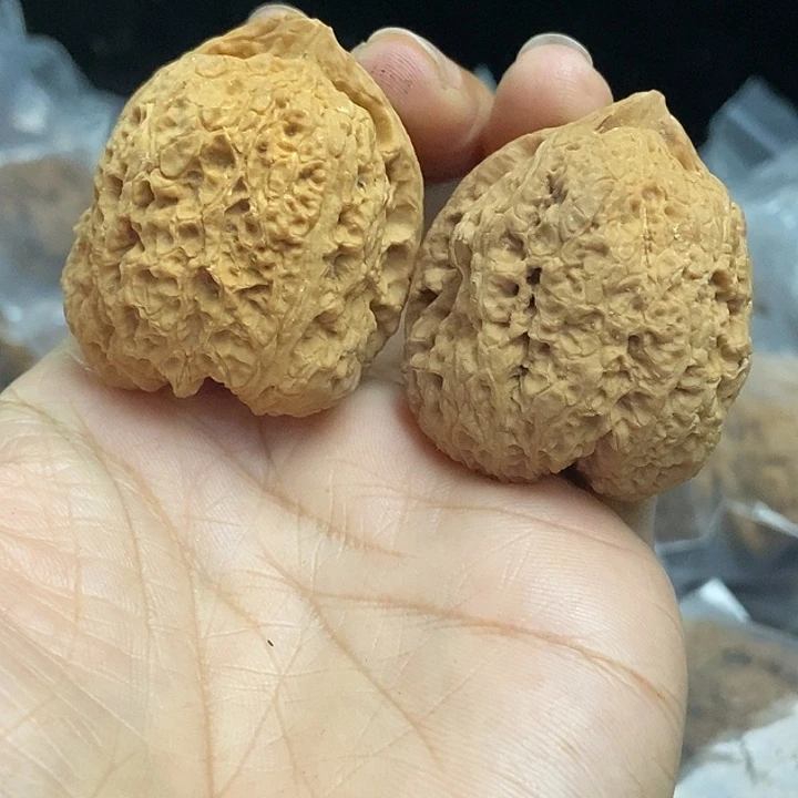 木质类云南铁核桃基地70