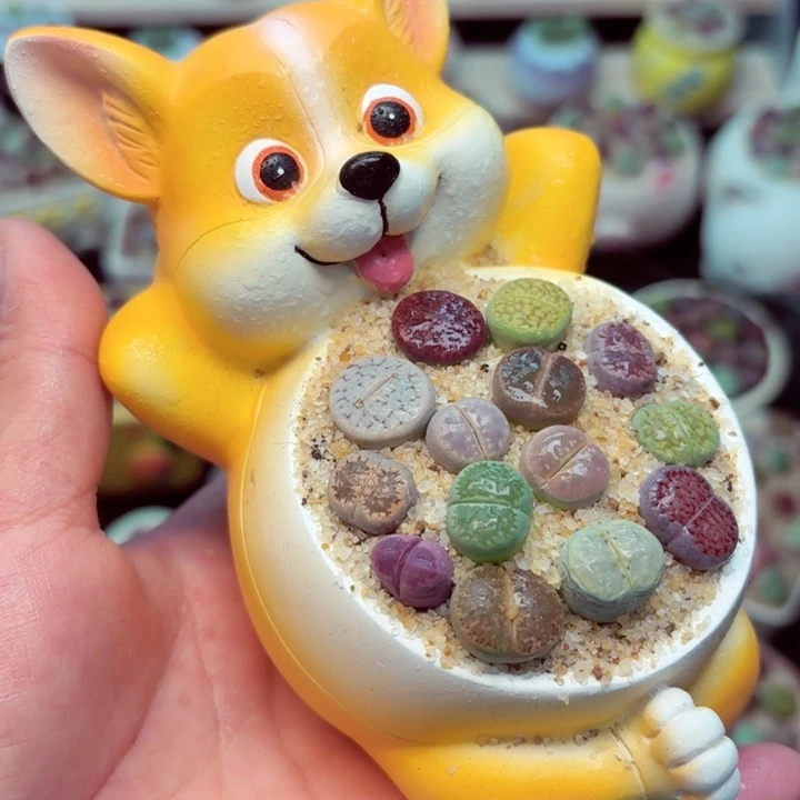 8005零下地区记得拍保温箱