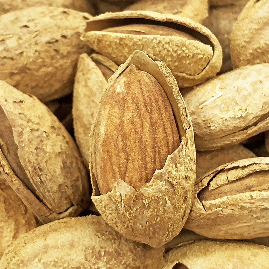 手剥巴旦木龙果原味坚果炒货休闲零食特产干果