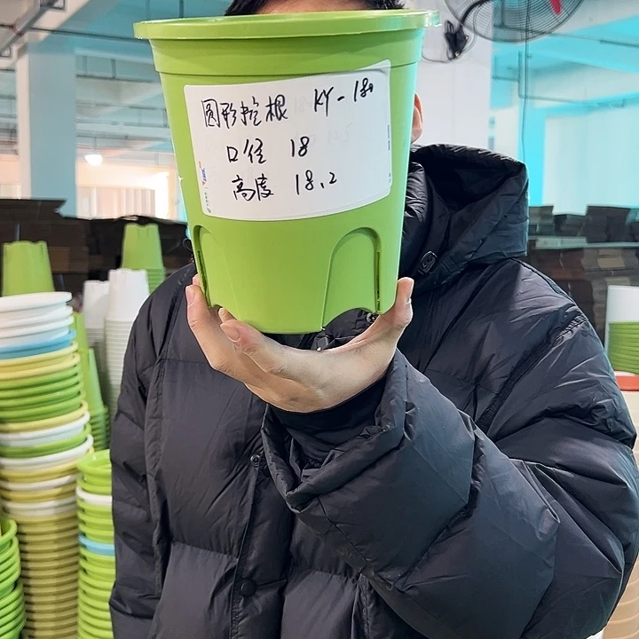 正品圆控口18高18果绿无托8只