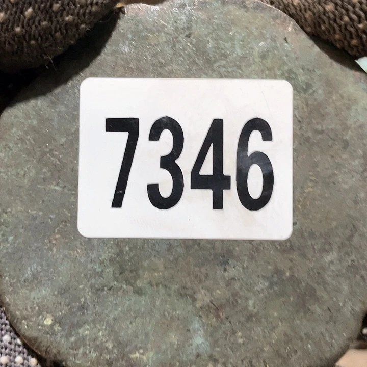 海***0普光明的普光明的7346