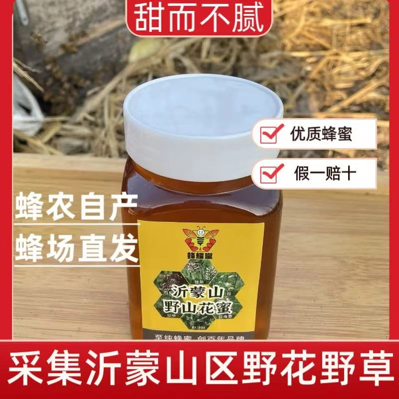 天然纯正蜂蜜正品沂蒙深山百花蜜农家自产真蜜500g/瓶2瓶