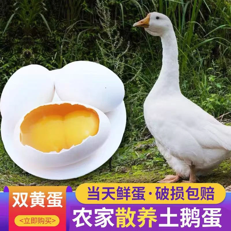 顺丰包邮【12枚】新鲜正宗农家散养双黄土鹅蛋单个重120g左右