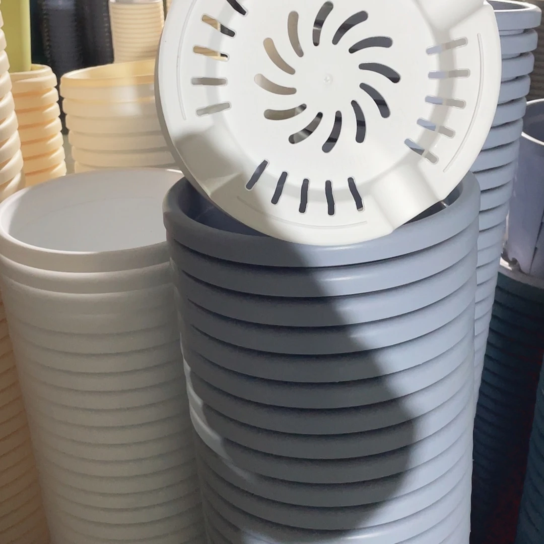 四季5号10个白色的