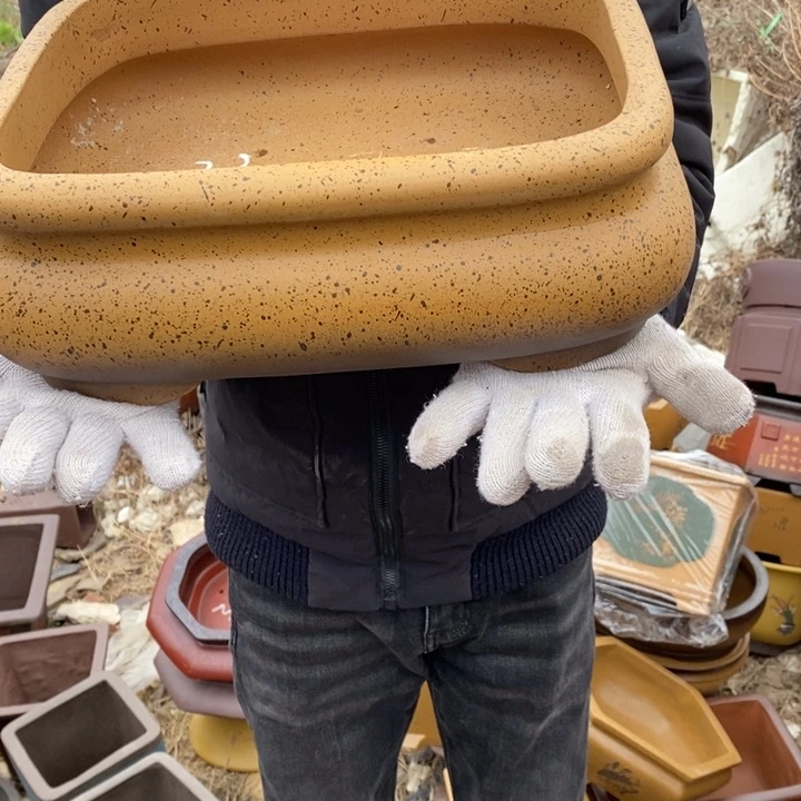 花盆紫砂紫砂特价包邮