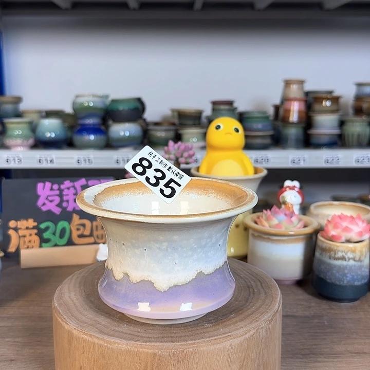 景德镇手工陶瓷盆 口11
