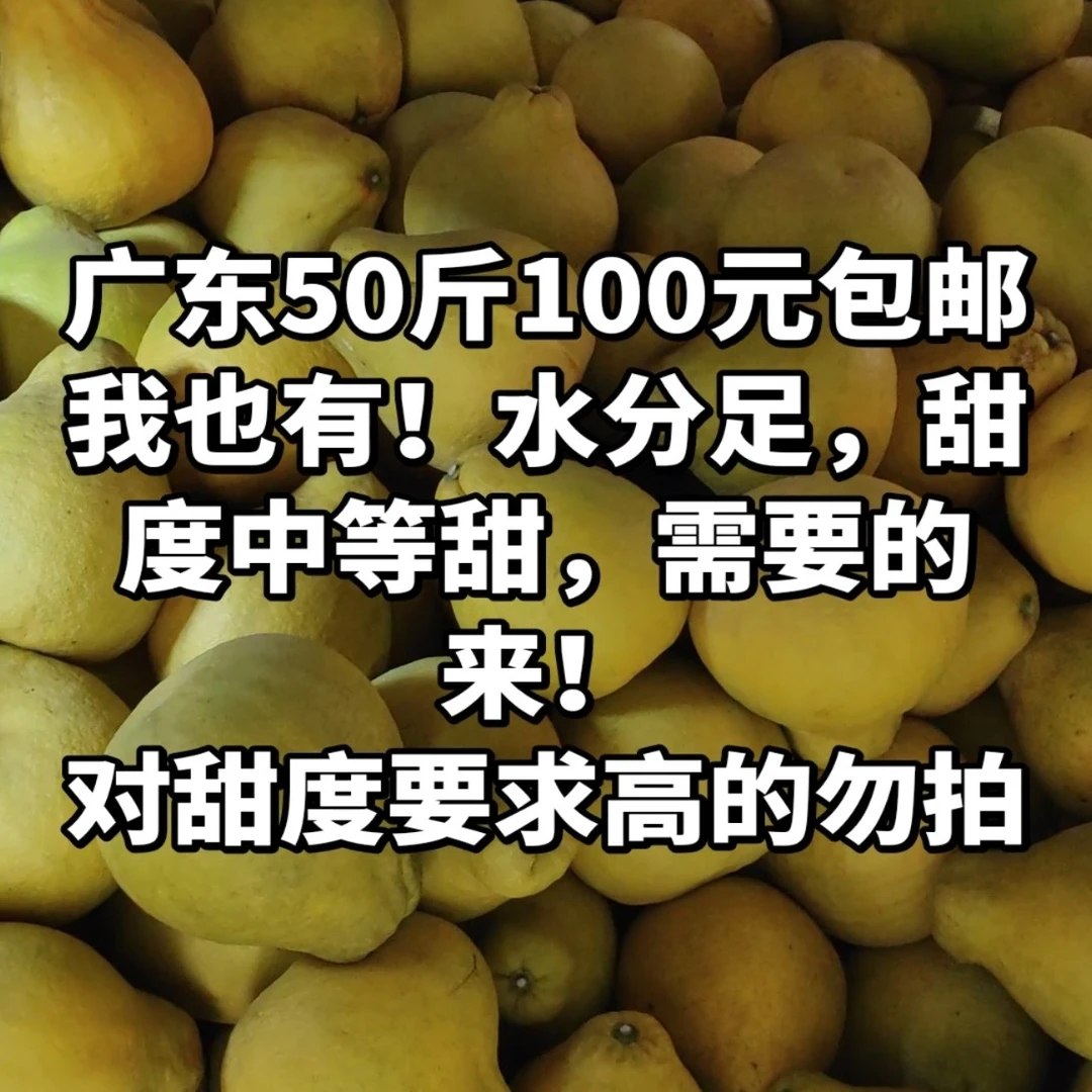 50斤广东梅县沙田柚 纯甜不酸 水分足 甜度中等 孕妇水果