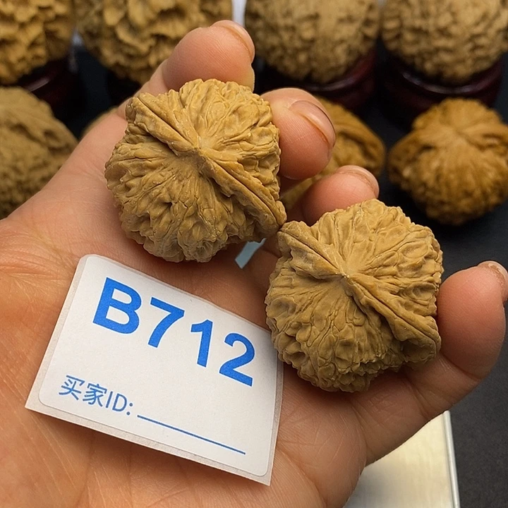 小***、核桃白狮子3.7，微瑕