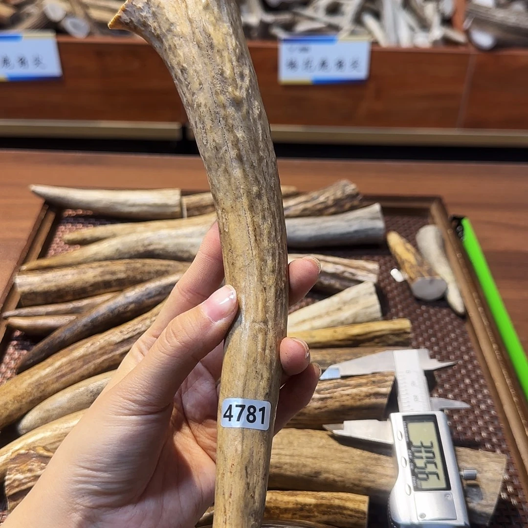 手串/手链鹿骨4781角尖