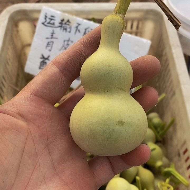 ?**?哈哈哈哈哈哈哈