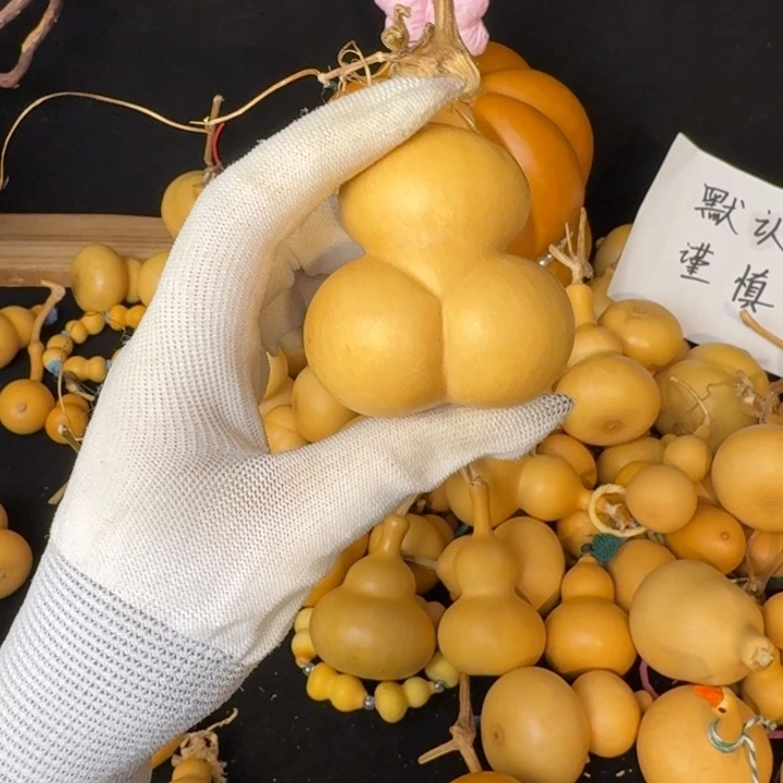 冰***️1111111111111111金蟾