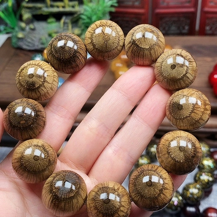 三***和藤类手串/手链买麻藤