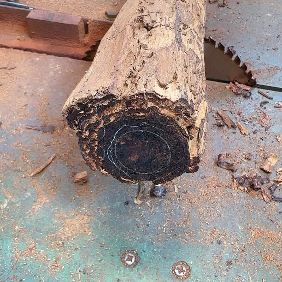 木好*降真香定制1.0/108爆甲/2.5一串