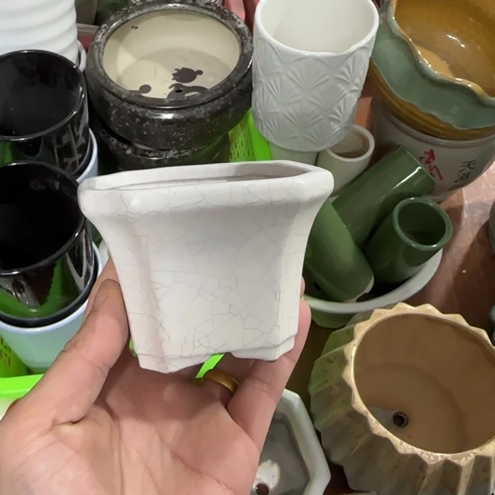 《所有单满15发（花盆）》8×7