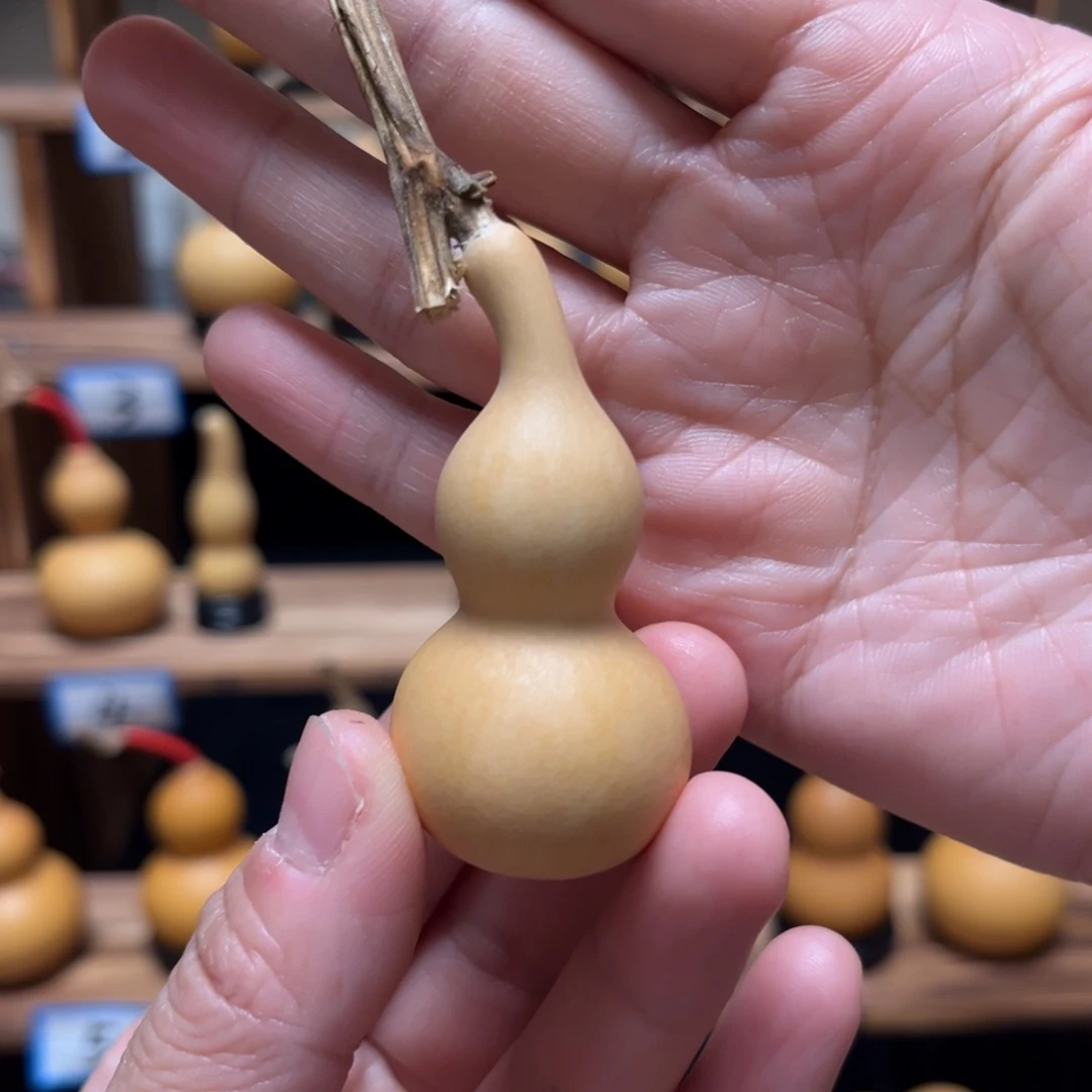 小***哥精品天津嘴弯嘴葫芦