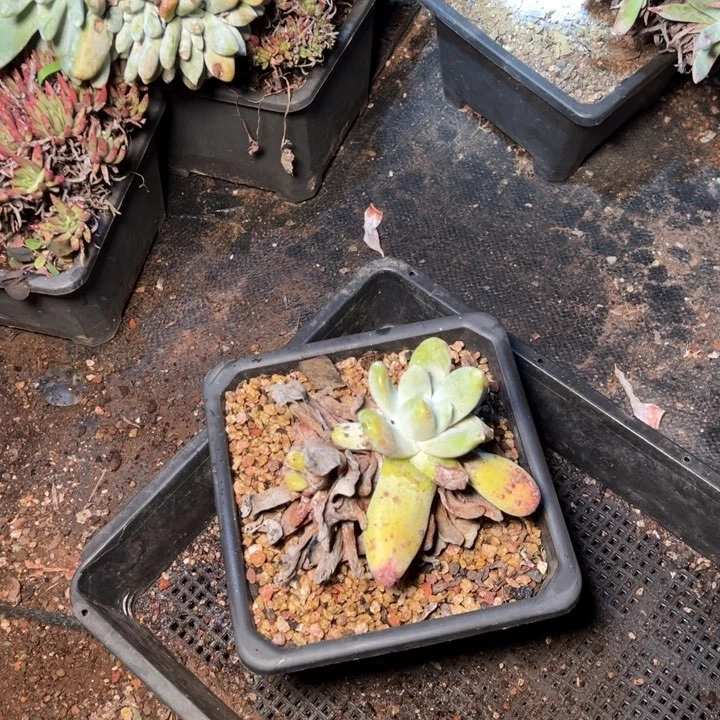 877哈哈哈哈哈哈哈哈哈