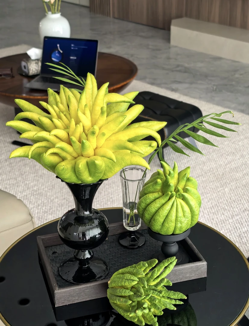 重磅福利【大姐夫云南佛手】基地直采直高端花材观赏闻香