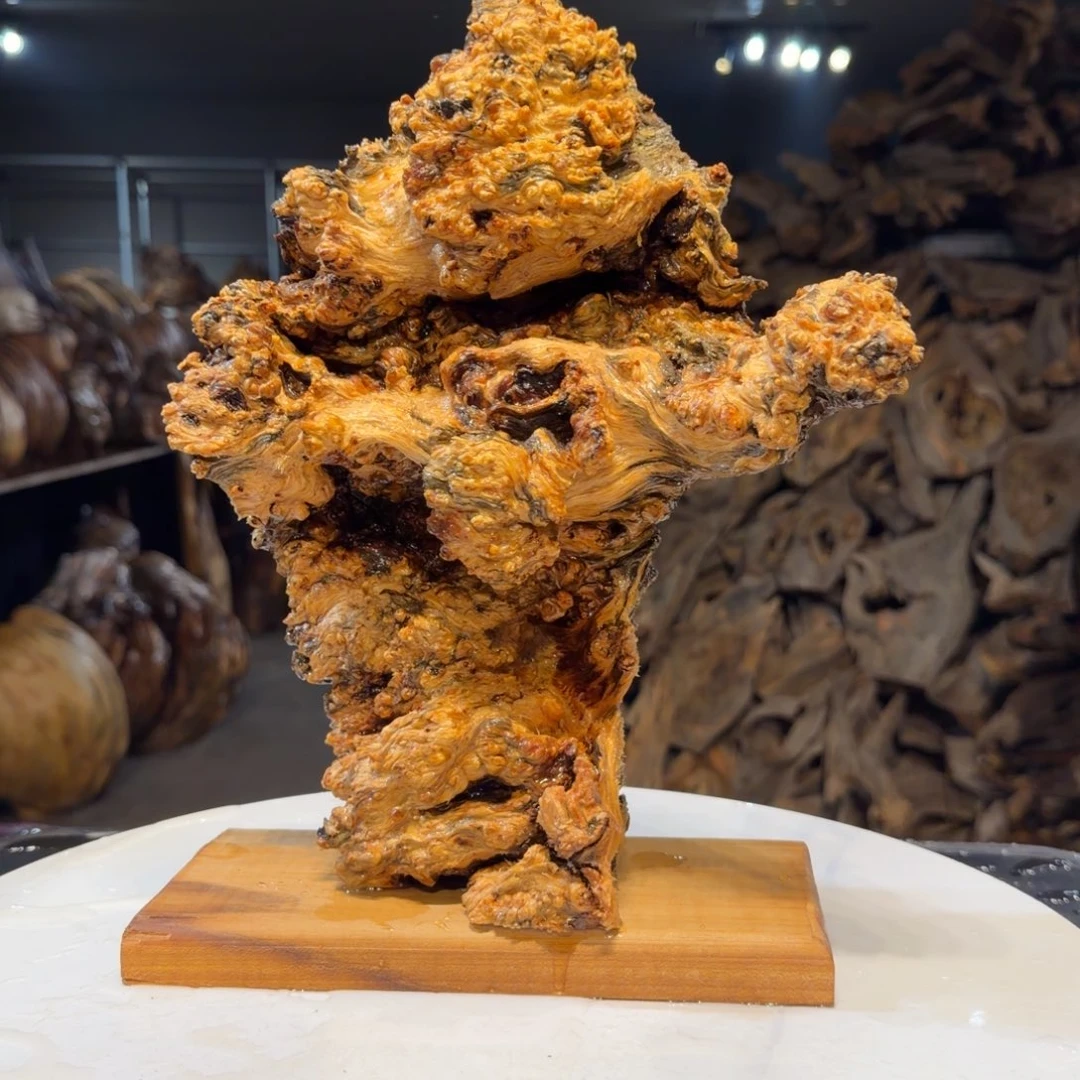****恙木王一刀琥珀木摆件15