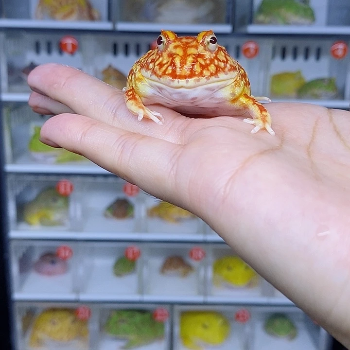 特价秒杀现货特价
