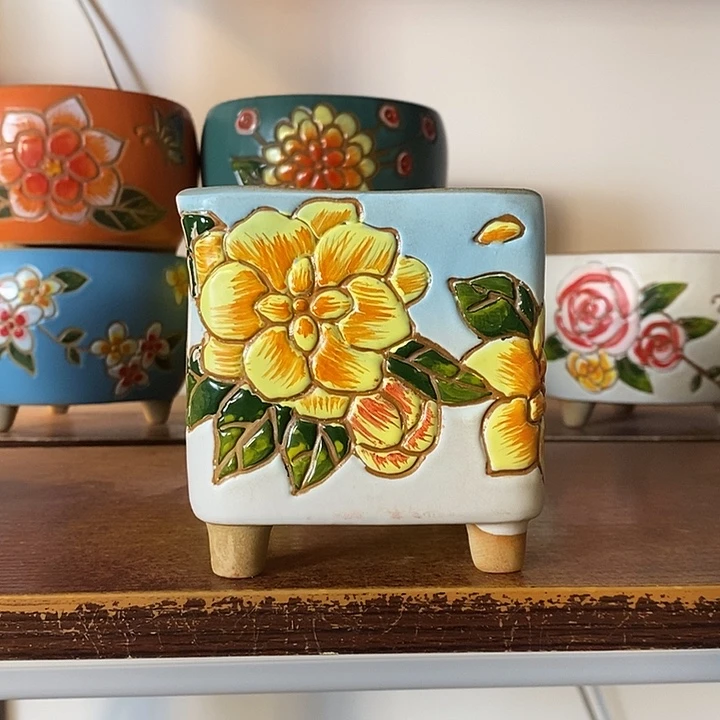 韩式多肉植物花盆