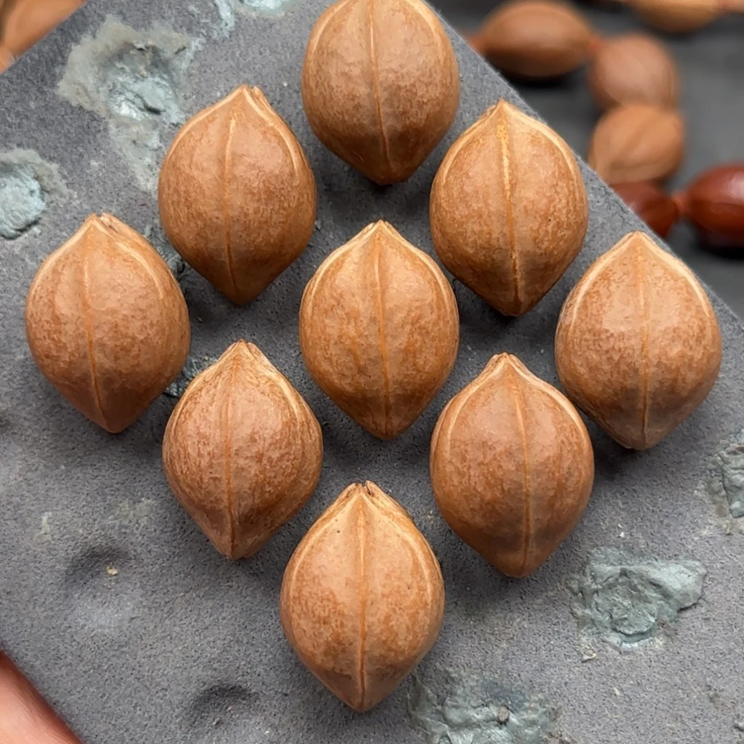 橄榄核手串2.1✖️2.9精品大尺寸