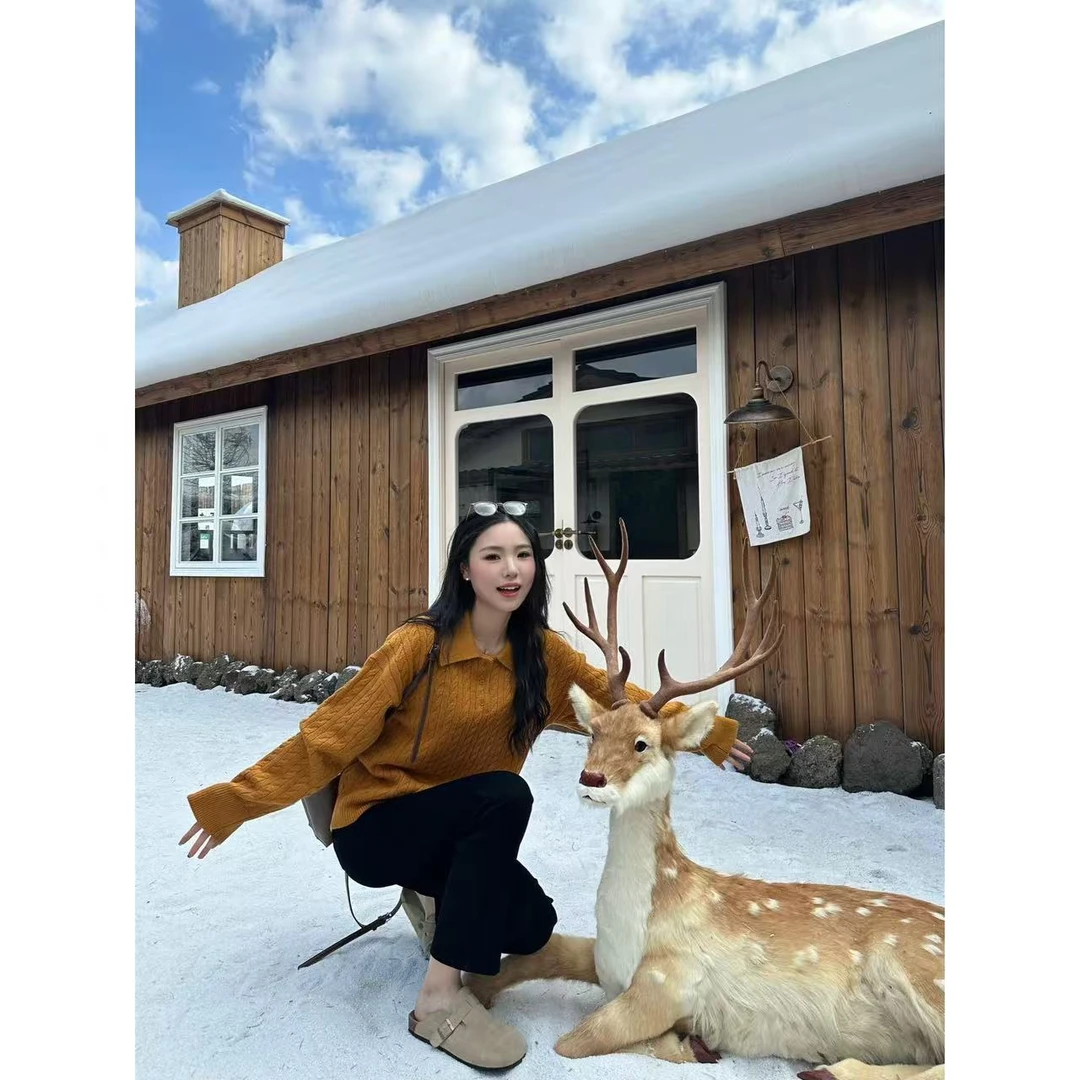 48h【小狗日记】加长腊肠狗刺绣粗麻花polo领毛衣翻领针织上衣25168