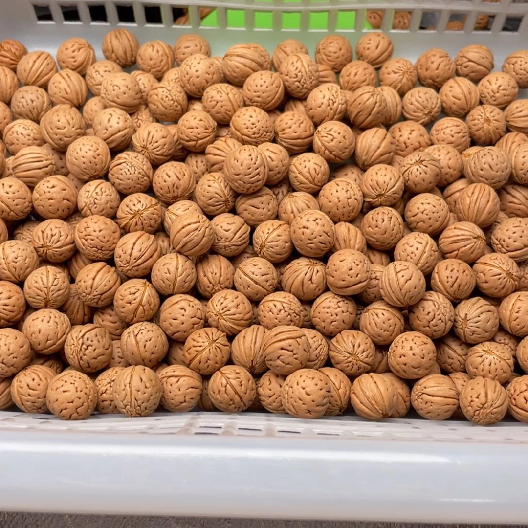 【闪购商品】墨**温散子批发180米