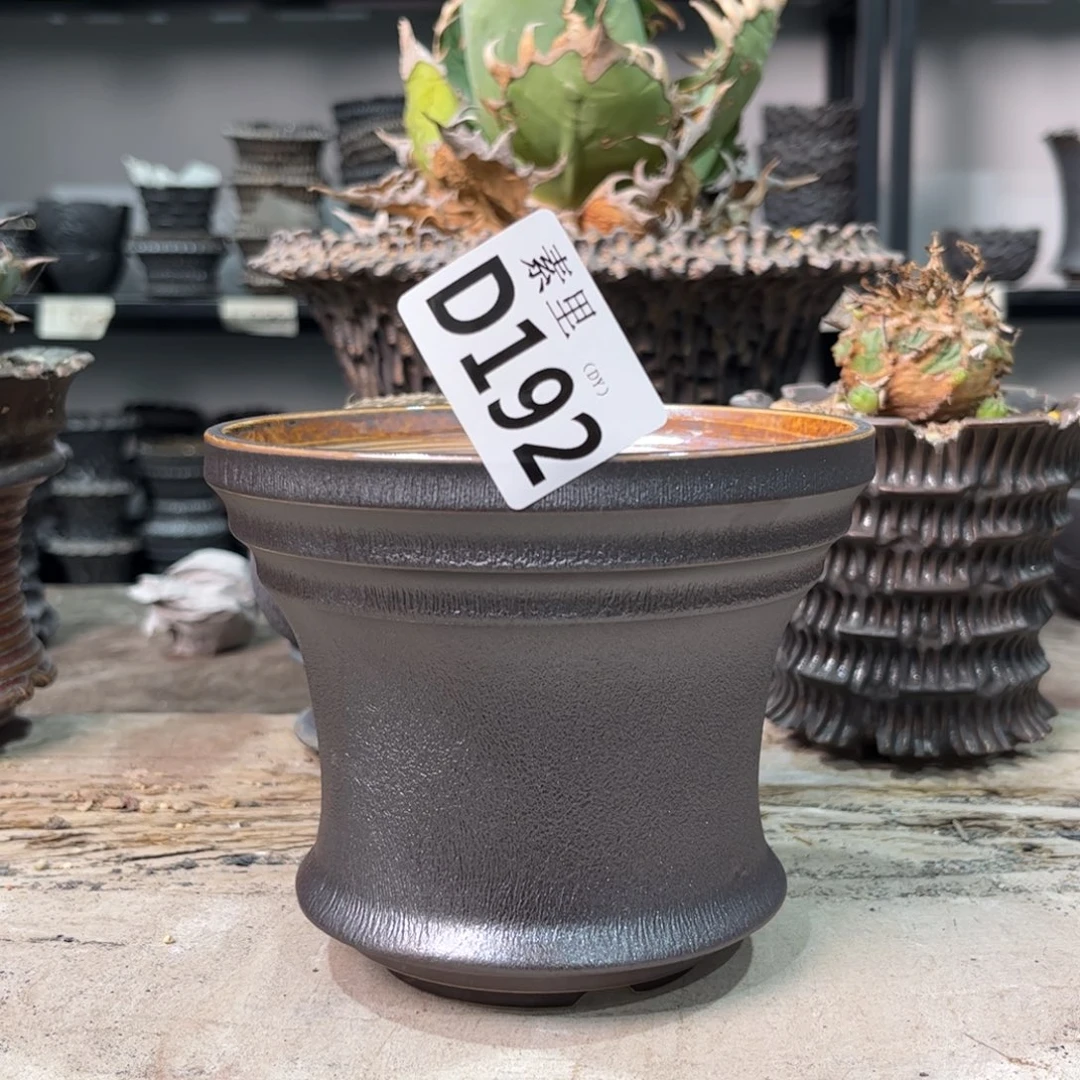 陶内口12.4高10.5景德镇