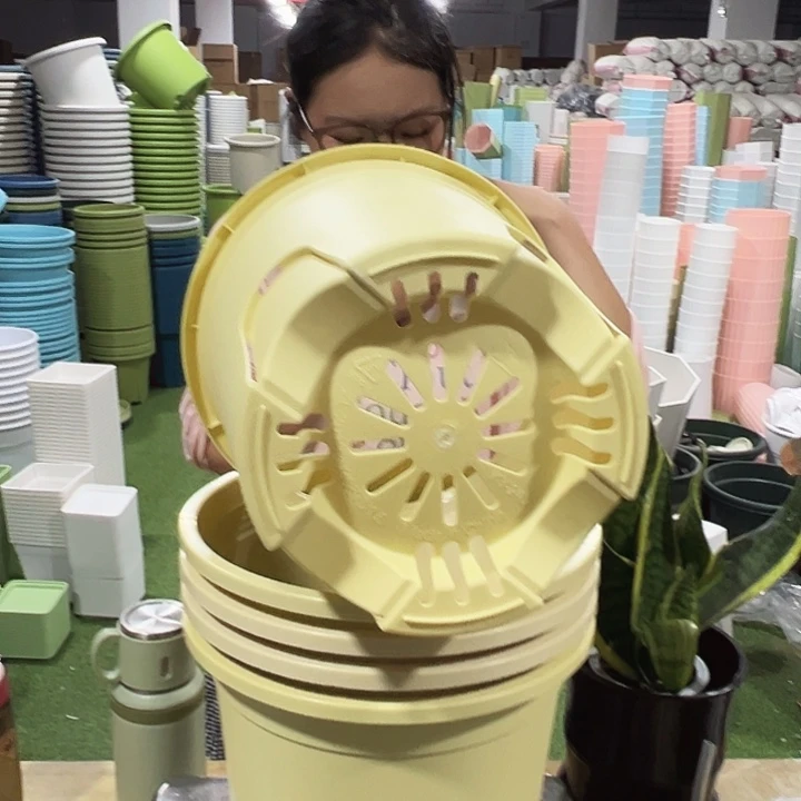 圆形控根口24高24柠檬黄五只无托