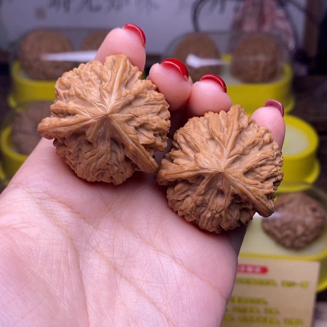 文玩核桃把件全品37尺御龙粗筋精品奔