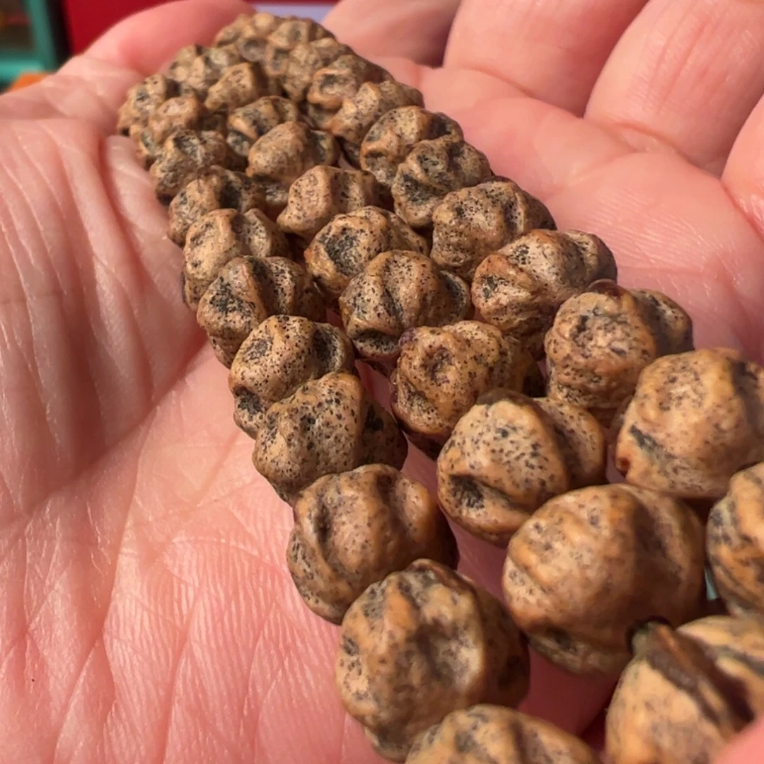 吊坠柏香籽/百香籽E19