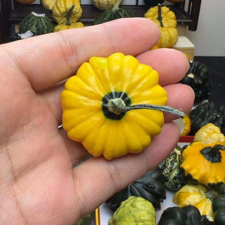 辛*福利福利福利福利