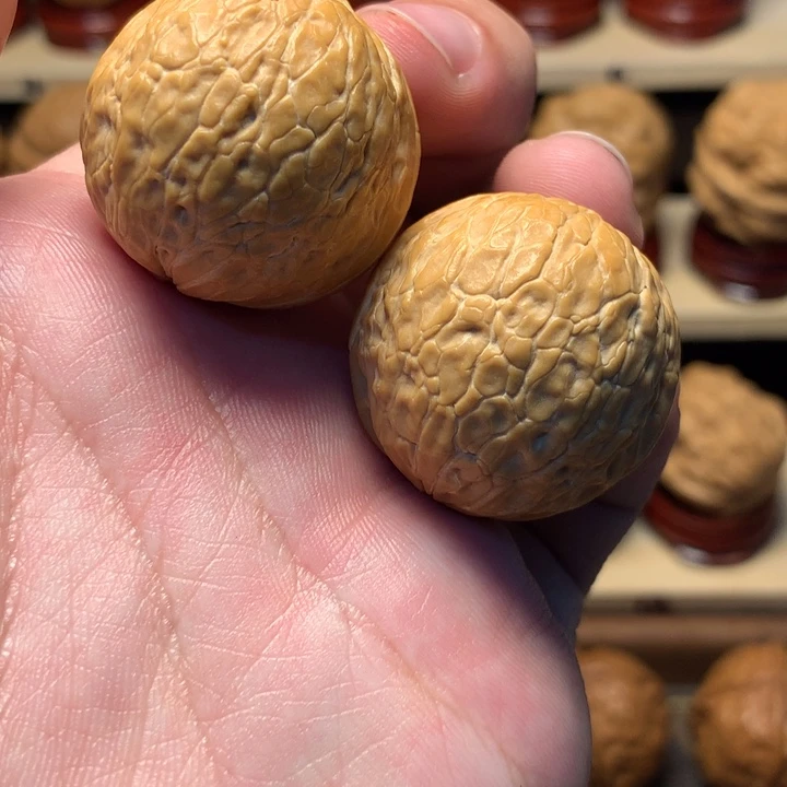 文玩核桃把件31蛇皮球