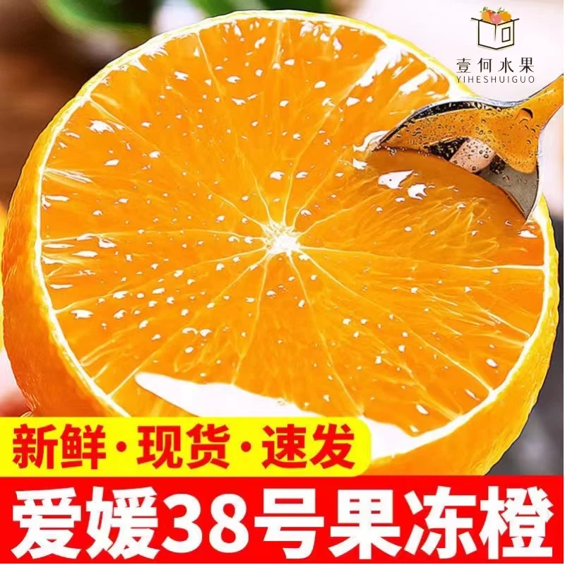 【爱媛果冻橙】四川爱媛果冻橙农家自种新鲜采摘壹何水果橙子