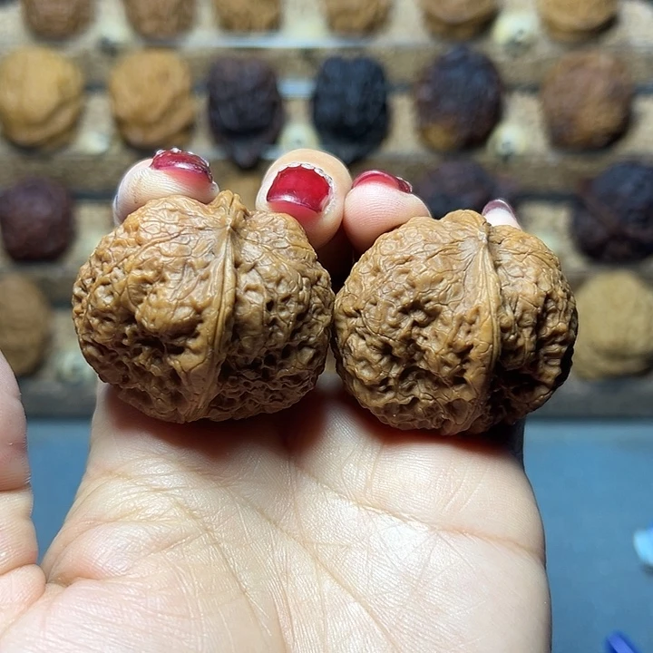 把件文玩核桃15号鹰嘴42尺