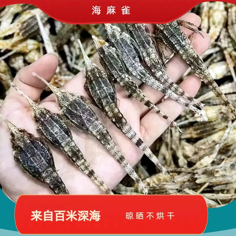 海中雀8只装 干 包邮海产品干 11