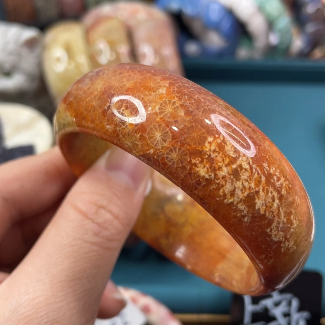 未镶嵌手镯硅化玉