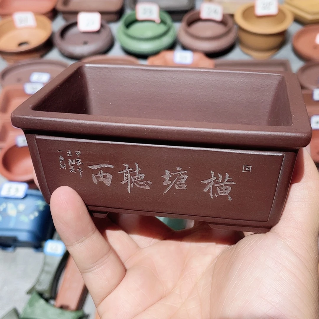 紫砂小盆10.5*6.5*4.5